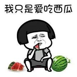 娱乐吃瓜的途径,跟随吃瓜群众,探寻明星幕后故事